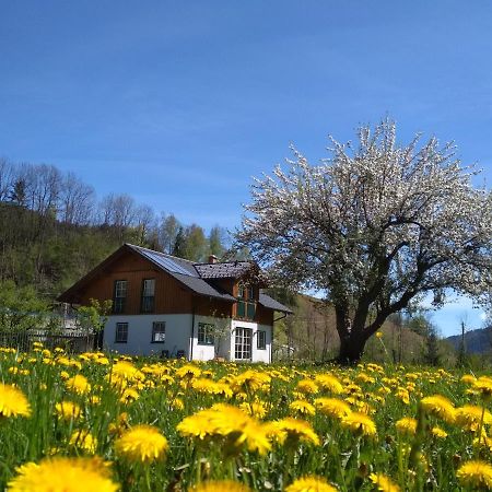 Gaestehaus Blonbauer Apartment Schladming Exterior foto