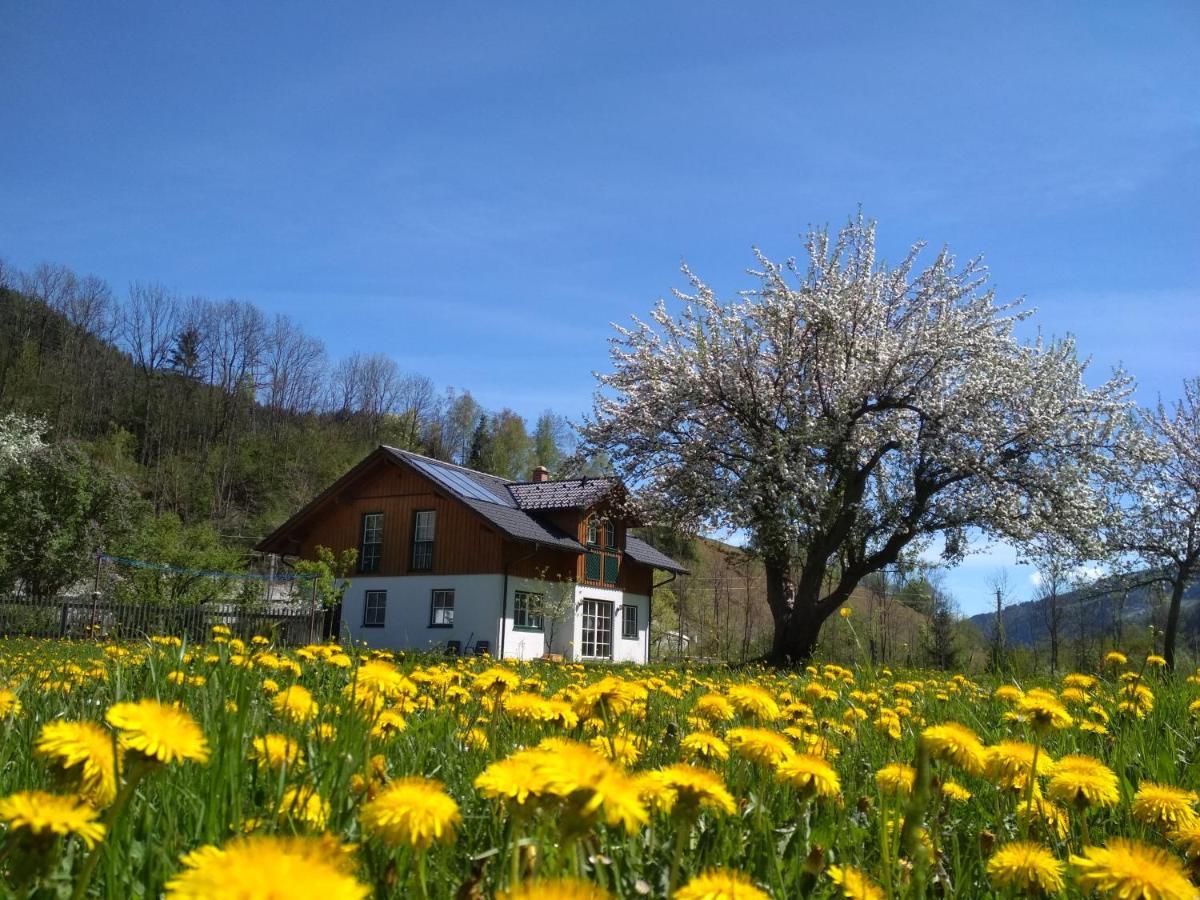 Gaestehaus Blonbauer Apartment Schladming Exterior foto